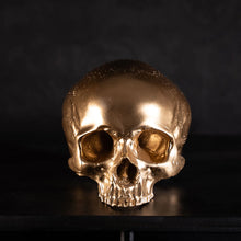 Load image into Gallery viewer, Skull of Jane Doe Ornament by The Blackened Teeth