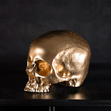 Load image into Gallery viewer, Skull of Jane Doe Ornament by The Blackened Teeth