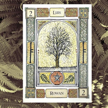 Load image into Gallery viewer, The Celtic Tree Oracle