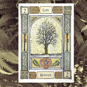 The Celtic Tree Oracle